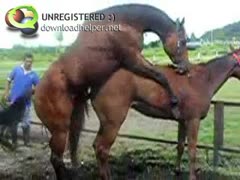 Horse sex in zoophilia porn film
